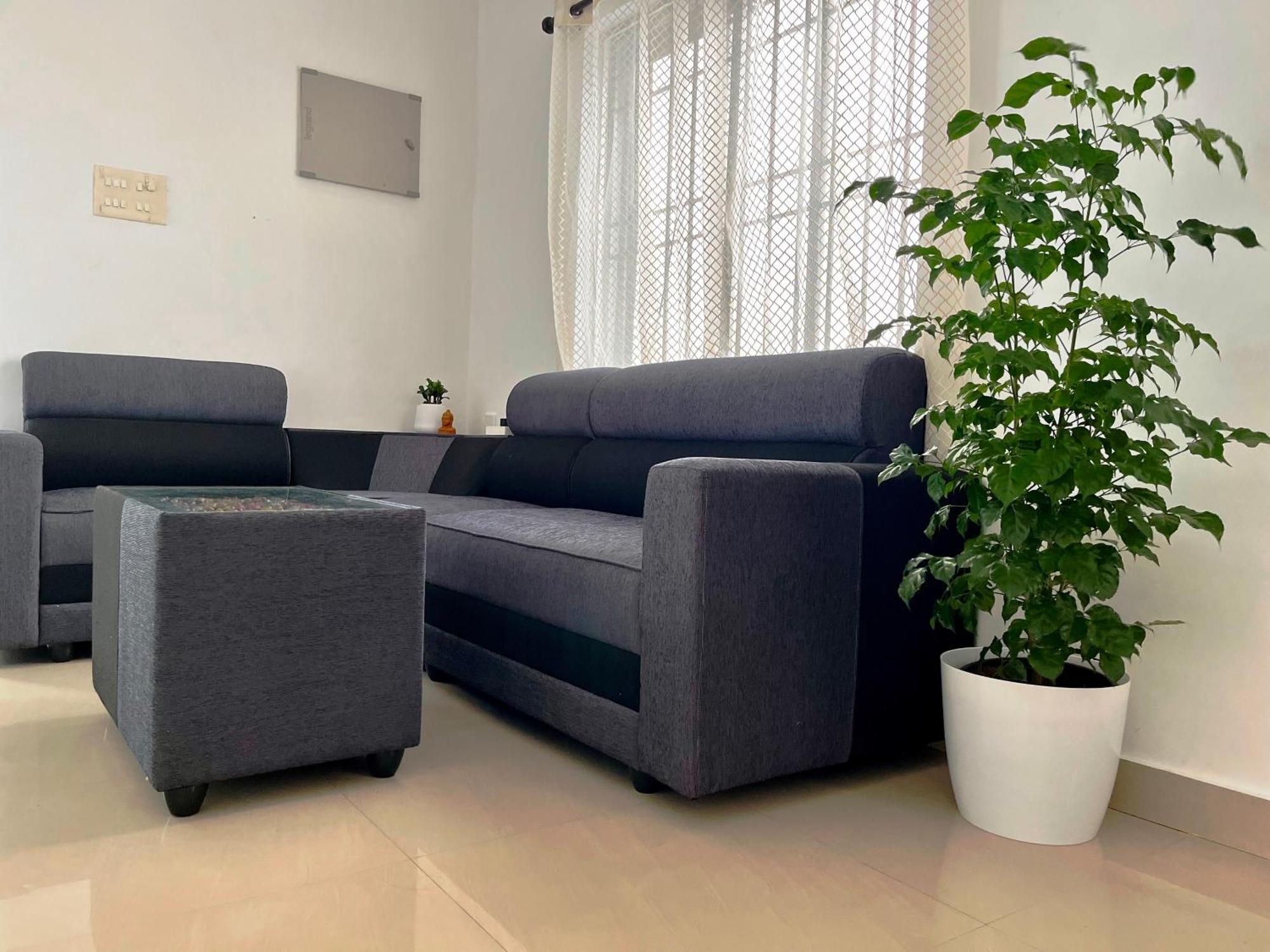 Segundo Home Kochi Kültér fotó